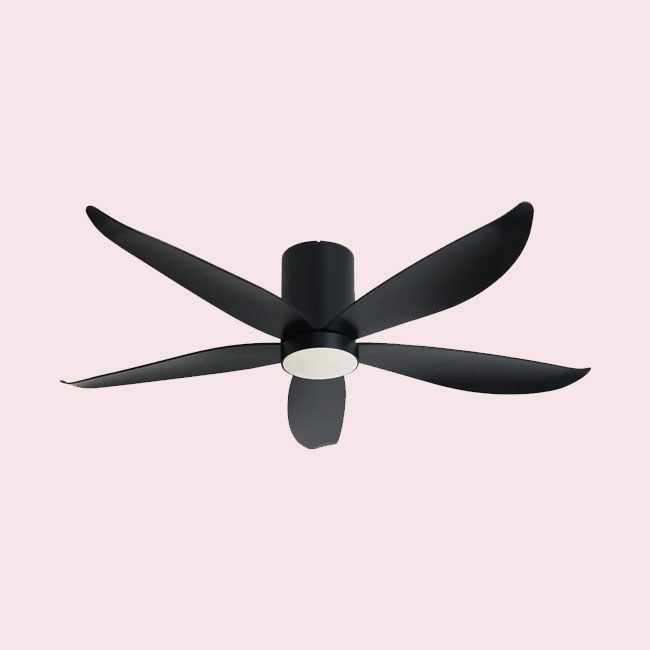 Smart Ceiling Fans