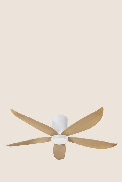 Smart Ceiling Fans