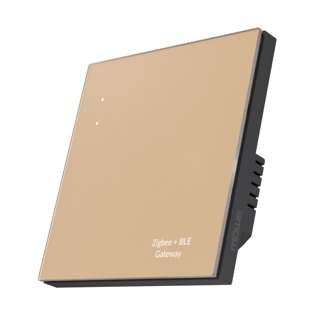 Zigbee + BLE Gateway with a beige top panel and dark angled base, shown from a side-angle perspective. The device has the text 'Zigbee + BLE Gateway' on the top surface.