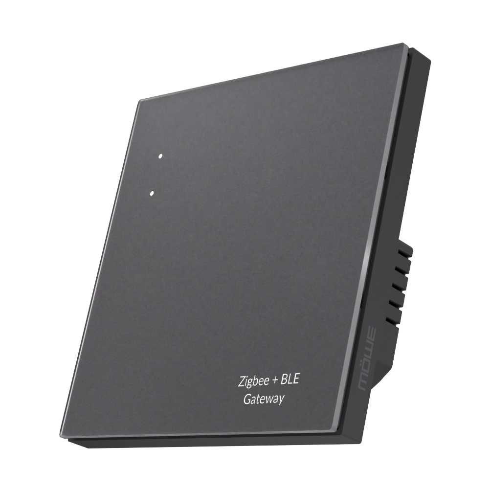 Dark gray Zigbee + BLE gateway device angled in a 3/4 view, showing two small white indicator dots on the front.