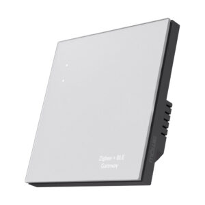 Avantgarde Wall Mount Zigbee + BLE Gateway