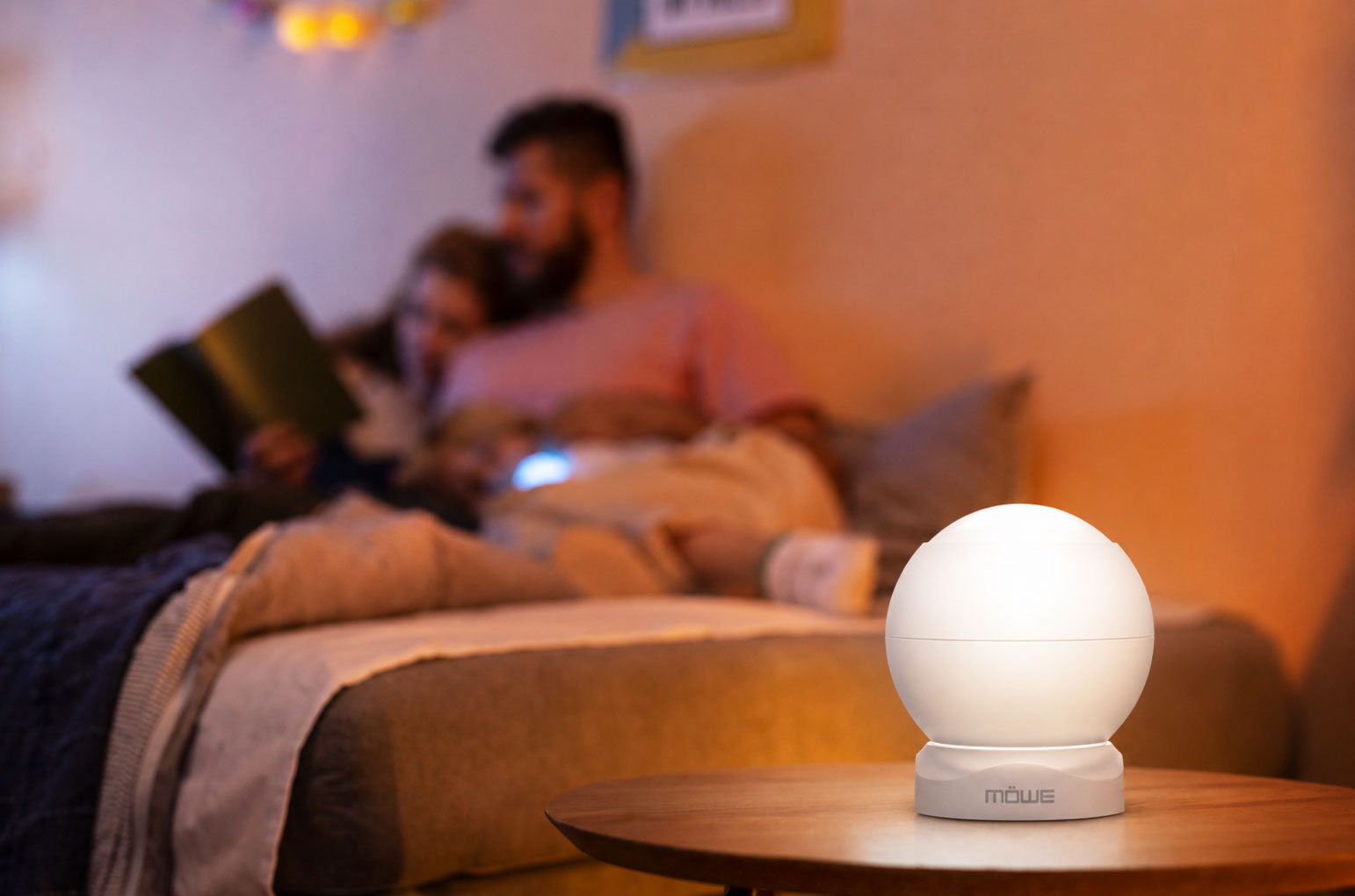 PIR Motion Detector